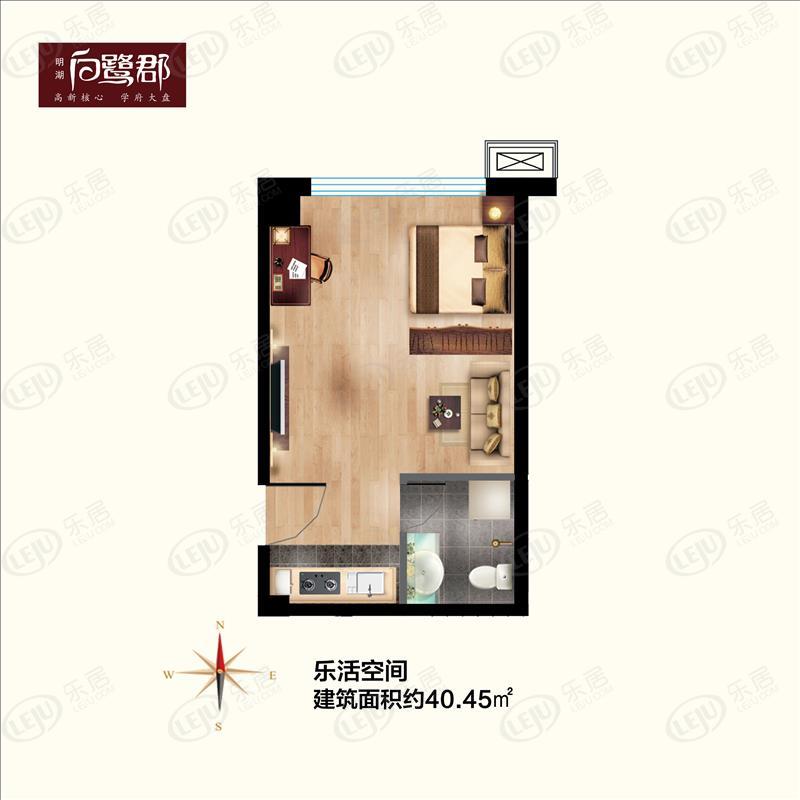 45平米一室一厅户型图