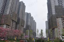 香缤国际城社区实景