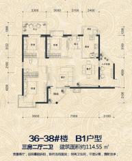 永州书香名邸36#—38# B1户型户型图