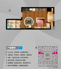 芜湖万达中心精装SOHO G户型一室一厅一卫户型图