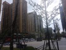 中洲锦城湖岸2期社区实景
