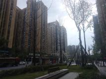 中洲锦城湖岸2期社区实景